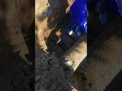 Pipa Air Type Double Card Extension Pipe Repair Clamp Stainless Steel TUV